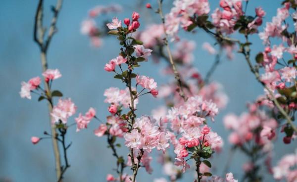 關係再好,也要注意“分寸”,一不小心就會得罪人 關係再好,也要注意“分寸”,一不小心就會得罪人