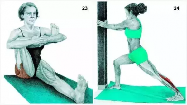 拉伸靜態圖解,你鍛鍊後拉伸了嗎? 拉伸靜態圖解,你鍛鍊後拉伸了嗎?