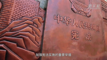 微影片|憲法之光 微影片|憲法之光