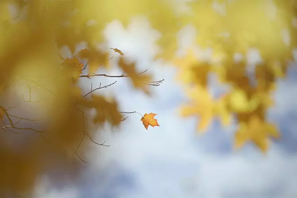 10副修心對聯：讀前人智慧，做通透豁達之人