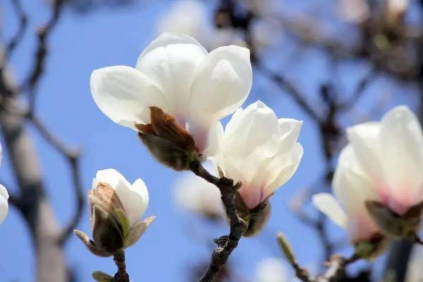 走過風雨四季，品味生活的美好