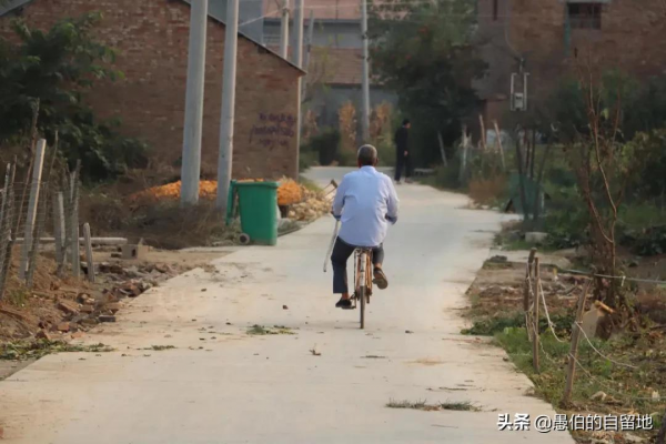 這才是真實的十月鄉村，純樸而美好，看後彷彿回了一次老家