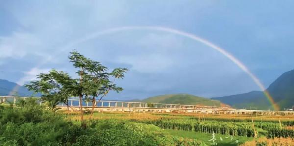 那些文筆超好的美句