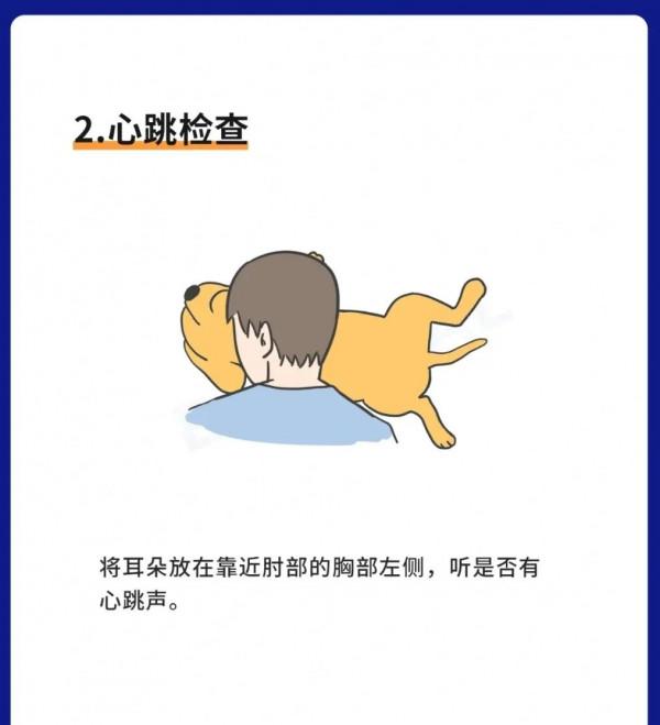 狗狗急救指南！(關鍵時刻可救狗命)