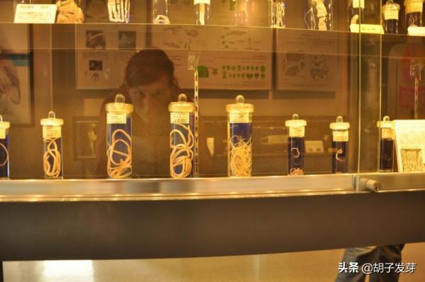 如果你去日本旅遊,你可能會看到的一些奇怪的事情 如果你去日本旅遊,你可能會看到的一些奇怪的事情