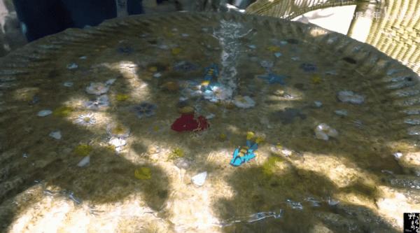 三個90後畢業不工作,跑到深山花八百塊租下荒宅,引400w人圍觀 三個90後畢業不工作,跑到深山花八百塊租下荒宅,引400w人圍觀