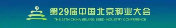 王凱:培育優質鴨種、提供安全鴨產品是北京鴨產業發展方向 王凱:培育優質鴨種、提供安全鴨產品是北京鴨產業發展方向