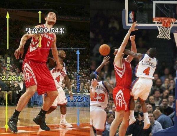 我們為什麼不敢正視人與人之間智力的差距？