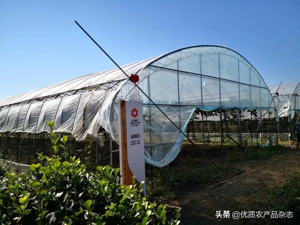 O2O2F互動生態種養:食享未來 用網際網路實現個性化的訂單農業 O2O2F互動生態種養:食享未來 用網際網路實現個性化的訂單農業