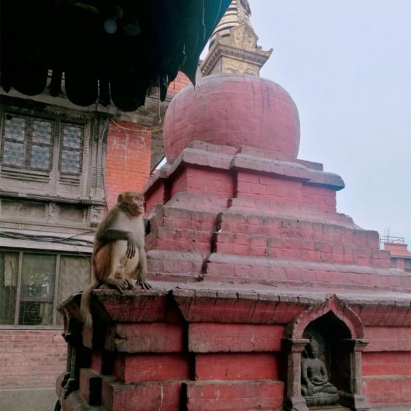 東南亞貧窮小國,把中國遊客當提款機,當地小孩見到就伸手要錢 東南亞貧窮小國,把中國遊客當提款機,當地小孩見到就伸手要錢