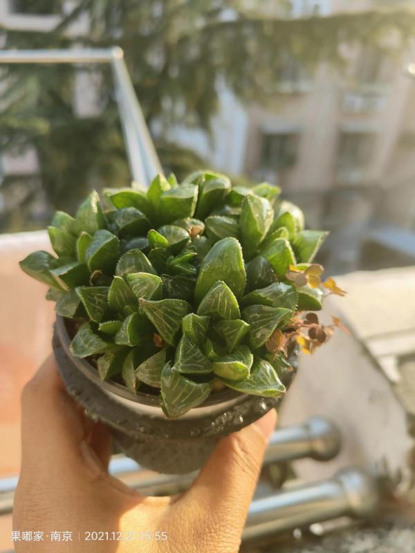 最近降溫，大家注意保暖哦