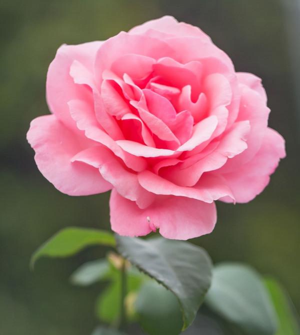 生活參照物 生活參照物