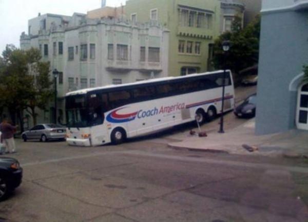 最後一隻塔斯馬尼亞虎，U-118潛艇擱淺顯真容，森林湖泊裡的怪魚