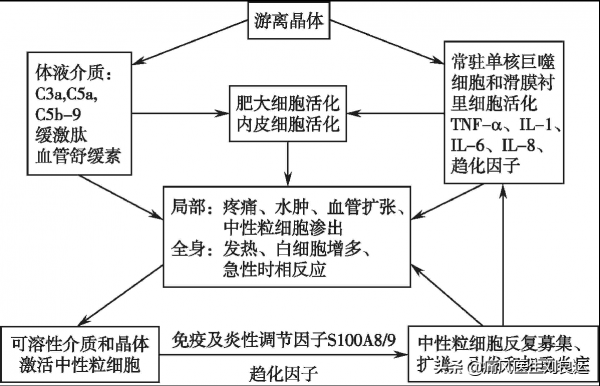 讓痛風不痛的秋水仙鹼有毒，所以不能用？使用秋水仙鹼注意六點