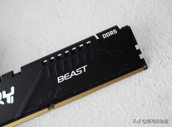 平民玩家單根d5 能戰未來嗎？