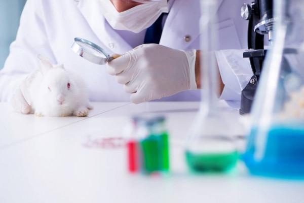 關於對老百姓最焦慮的住房 醫療 教育 養老改革的思考和建議