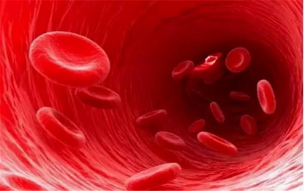 血常規檢查化驗單怎麼看?醫生:並不是有箭頭就不正常 血常規檢查化驗單怎麼看?醫生:並不是有箭頭就不正常