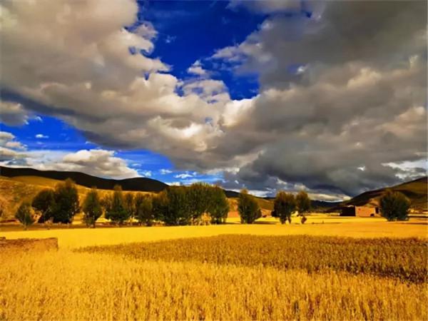 醉美中國，在秋天