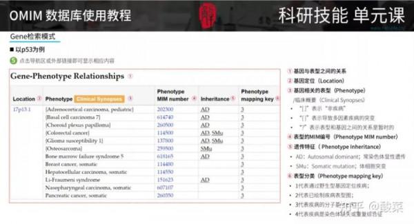 全面且權威的人類基因與遺傳表型概要的線上資料庫——OMIM資料庫