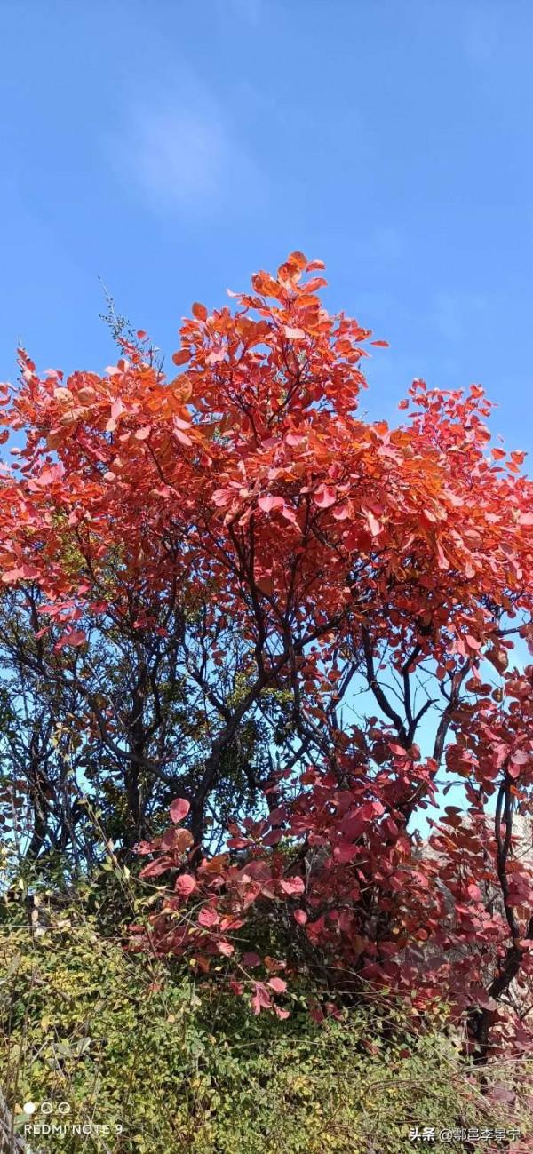 題陝西省西安市鄠邑區風景名勝圭峰山楹聯 文圖/李景寧 寒陽子