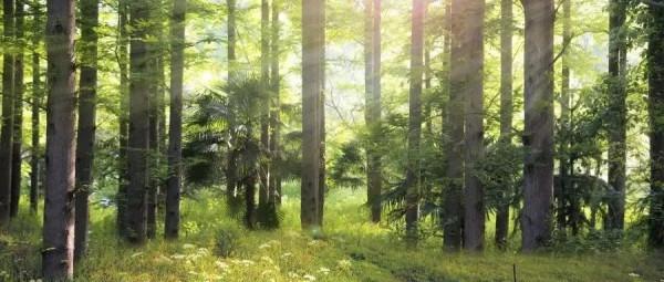 治支氣管哮喘妙方十則