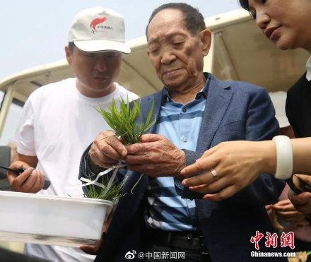 袁隆平為何不輕易在外吃飯