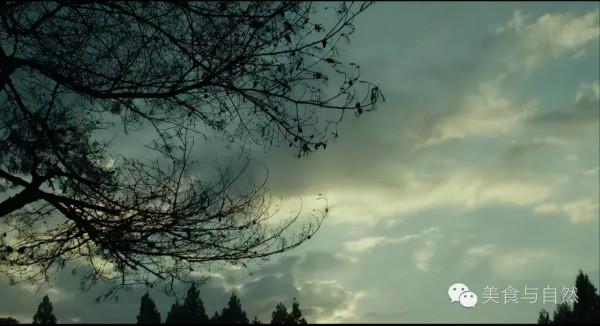 走進小森林之秋季篇