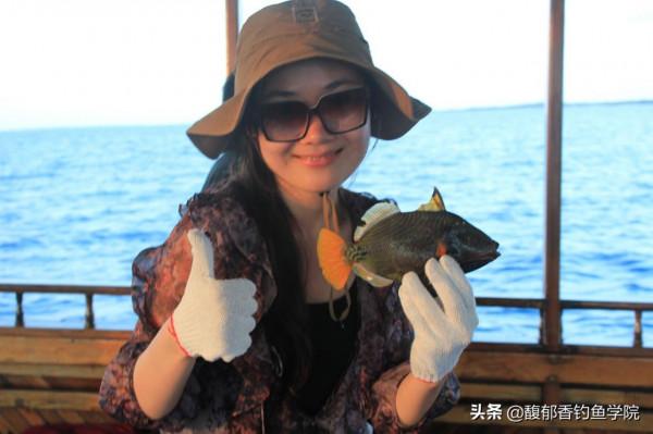 海釣時如何誘魚？哪種海釣誘魚劑的效果好？海釣的主要誘魚方法