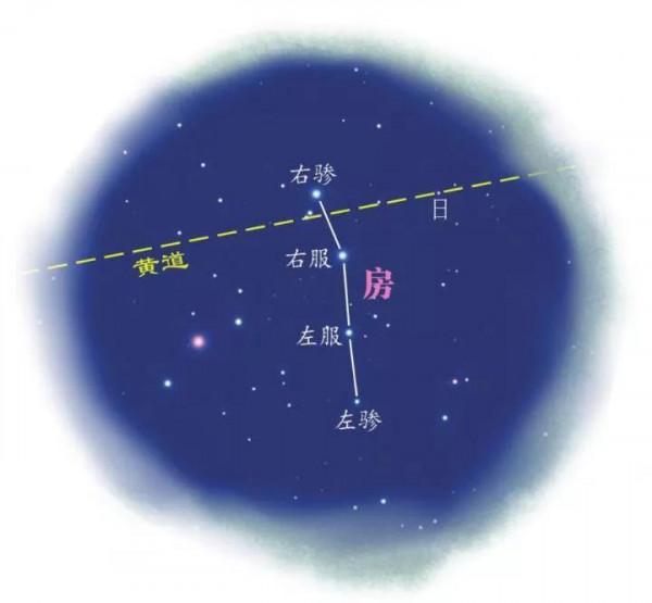 尋找房宿——蠍子有尾也有頭