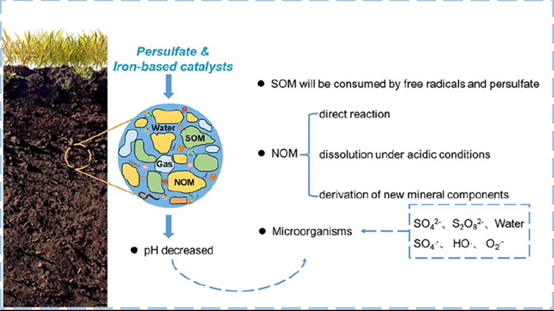 「技術交流」CEJ|非均相鐵基催化劑活化過硫酸鹽原位修復土壤的研究進展 「技術交流」CEJ|非均相鐵基催化劑活化過硫酸鹽原位修復土壤的研究進展