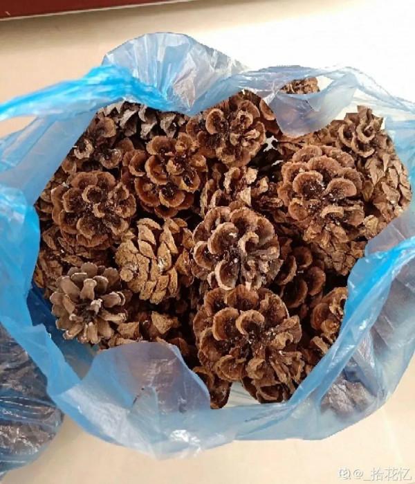 10種“垃圾”不要丟,拿來養花效果好,還能省下一筆錢 10種“垃圾”不要丟,拿來養花效果好,還能省下一筆錢