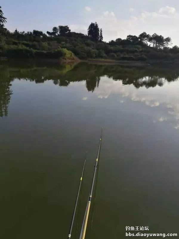 單開腥香，板鯽連竿