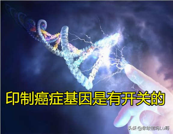 癌症發生的真正原理是什麼?目前提出了三個假說,都有哪些? 癌症發生的真正原理是什麼?目前提出了三個假說,都有哪些?