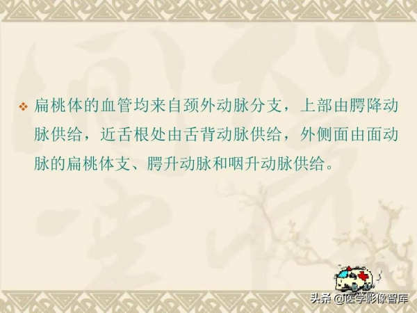 咽喉部解剖最全圖解，值得收藏