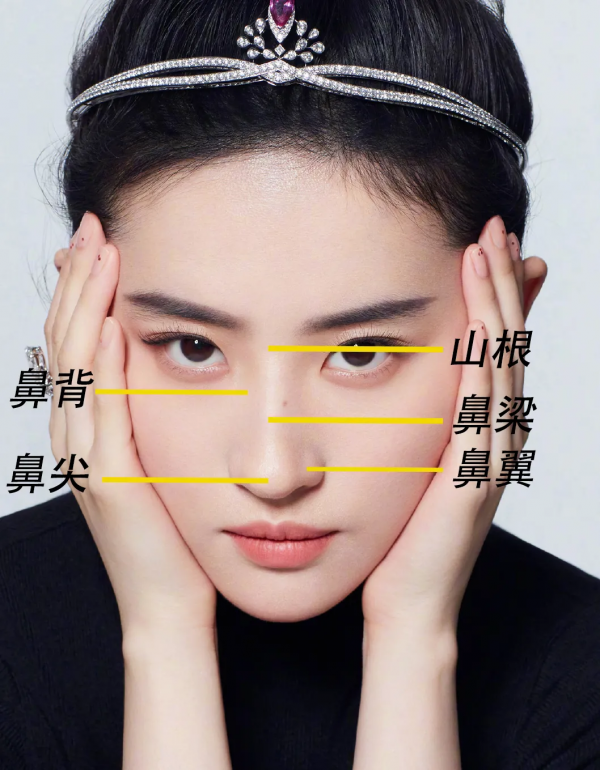 鼻子決定顏值?人類“高質量鼻子”長什麼樣 鼻子決定顏值?人類“高質量鼻子”長什麼樣