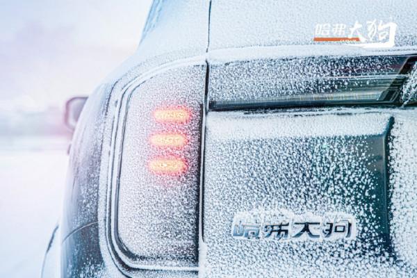 哈弗大狗提醒您出門要繼續帶好口罩哦