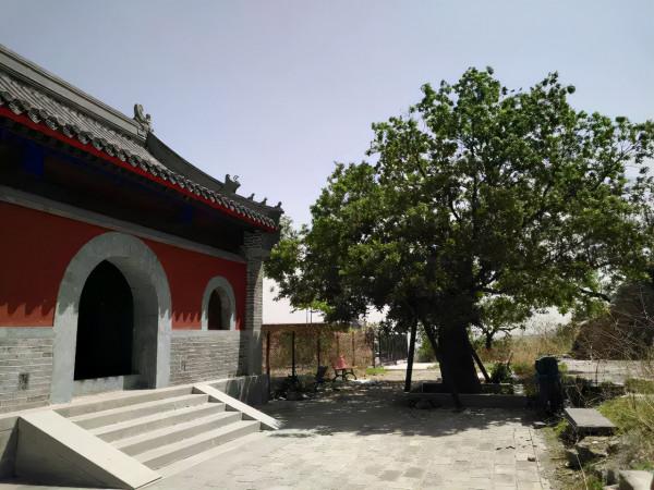 尋跡門頭溝 | 天橋浮裡的歲月風雲! 尋跡門頭溝 | 天橋浮裡的歲月風雲!