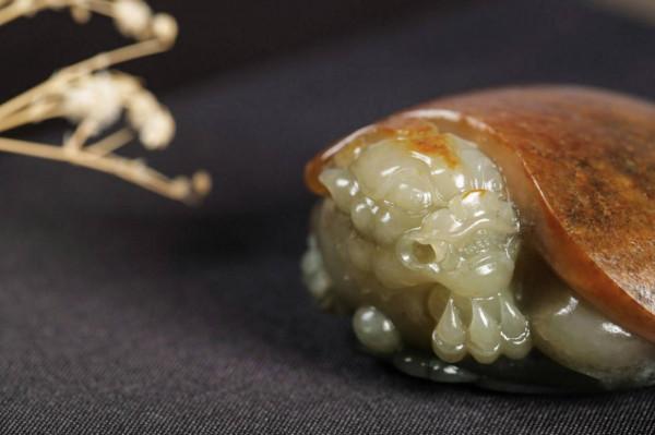 皮色老熟，滿皮龍龜。油潤