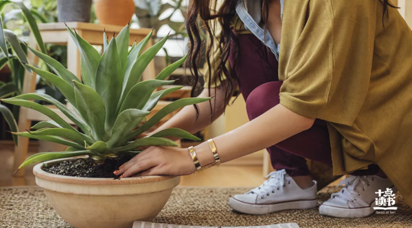 遠離你身邊這種“好心人”