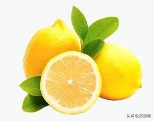 減肥的你都在吃什麼呢