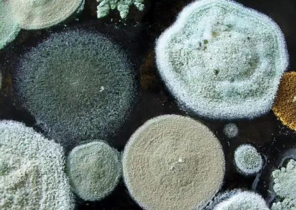 科普 | 走近科普之“劇毒”誘惑，不知名歌手也“撲街”！