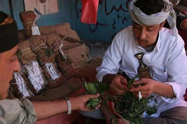 一個幾乎全民嚼食毒品的國家—葉門 一個幾乎全民嚼食毒品的國家—葉門