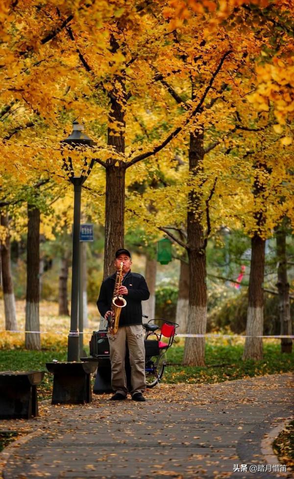 如果沒有疫情，此刻我勸你一定要去一趟北京...