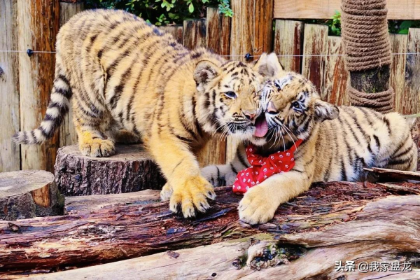 這個冬天，我們一起畢業
