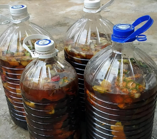 這&OpenCurlyDoubleQuote;三廢渣&rdquo;是養花寶，墊在盆底，提高肥力，根系還不易&OpenCurlyDoubleQuote;凍傷&rdquo;