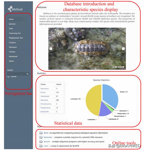 王緒敏教授團隊釋出軟體動物線粒體基因組資料庫MODB 王緒敏教授團隊釋出軟體動物線粒體基因組資料庫MODB
