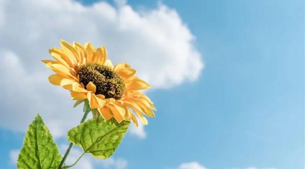 夜讀丨愛自己的四句悄悄話