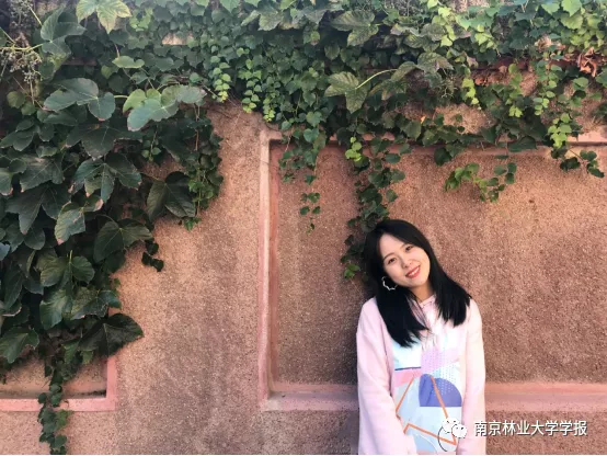 論文推薦 || 白樺BpGRAS1基因的克隆及耐鹽功能分析