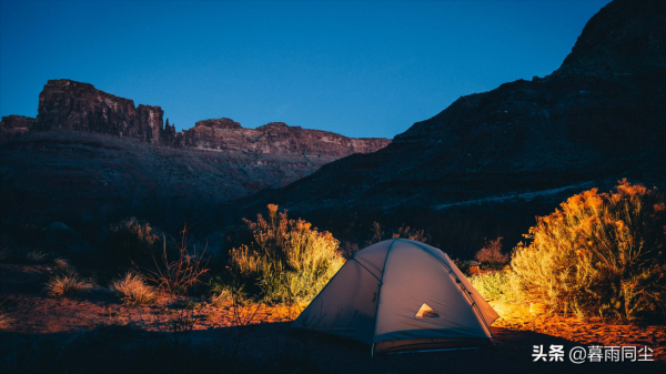野外如何避免被蛇咬傷，揹包客都應該知道如何處理蛇咬傷的常識