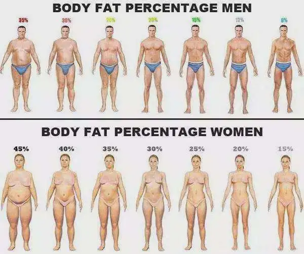 31歲金晨穿背心秀身材,全身肌肉堪比金剛芭比,肱二頭肌太明顯 31歲金晨穿背心秀身材,全身肌肉堪比金剛芭比,肱二頭肌太明顯